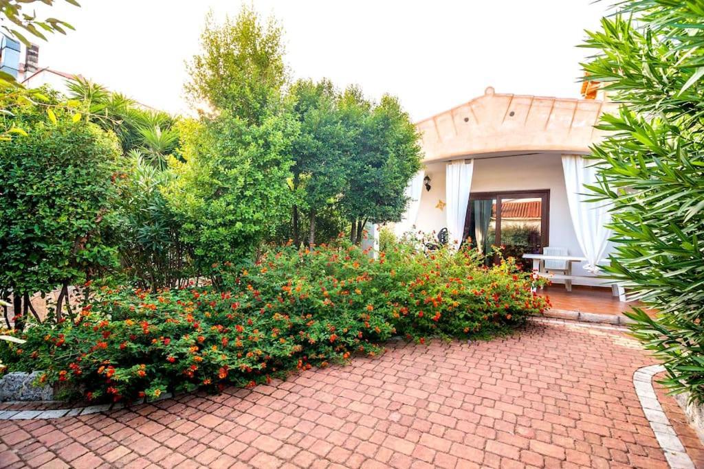 Residence Lu Soli Budoni Affitti Esterno foto